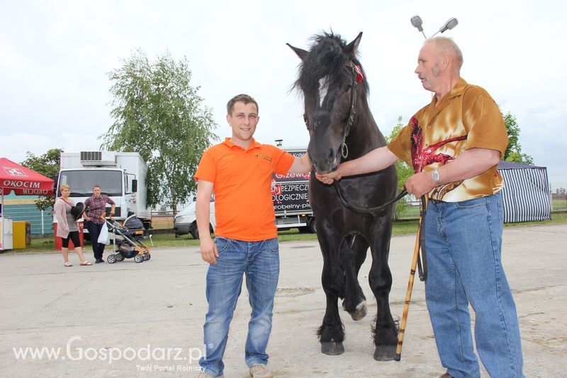 Wielkopolskie Targi Rolnicze „Sielinko 2011”  - Sobota