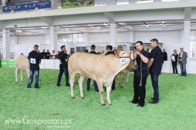 Krajowa Wystawa Zwierząt Hodowlanych w Poznaniu 2017 (piątek, 5 maja)