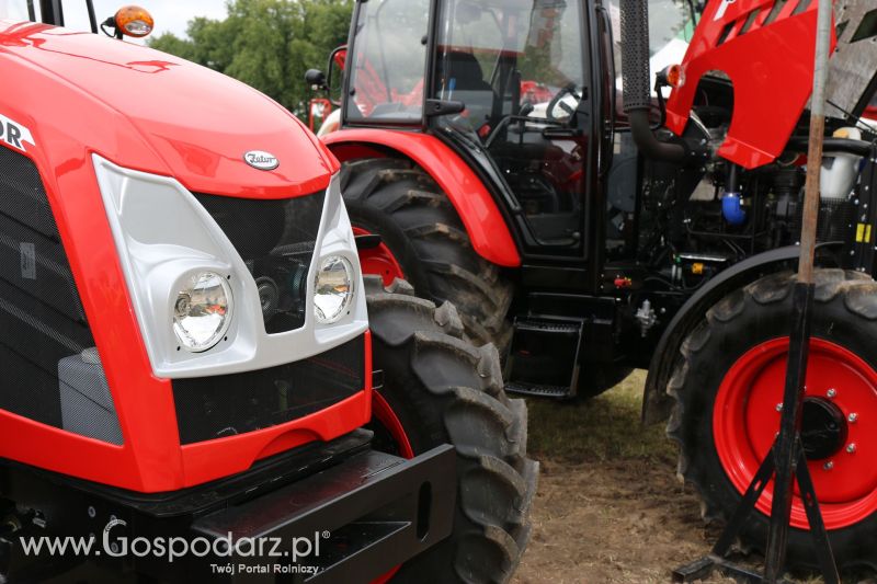 Zetor na Regionalnej Wystawie Zwierząt Hodowlanych i Dni z Doradztwem w Szepietowie 2017