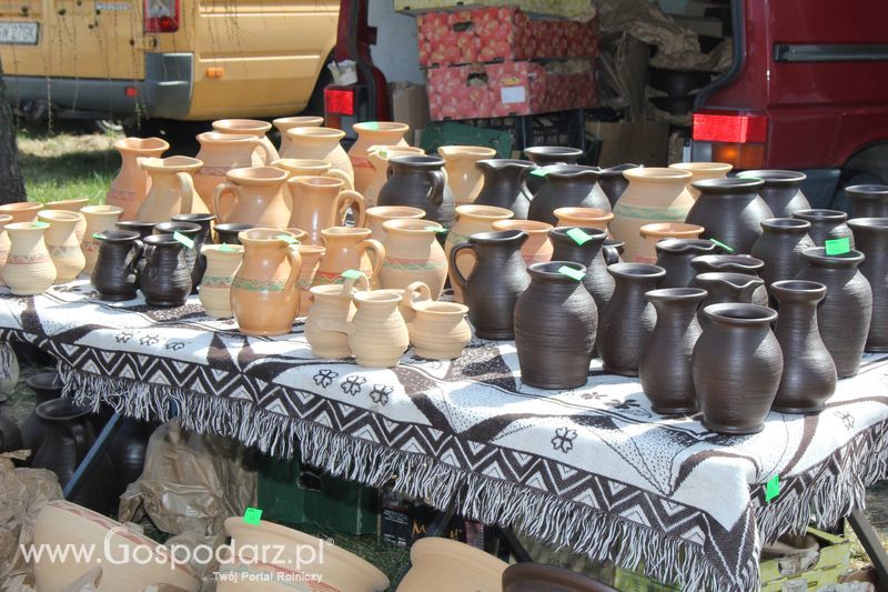 XX Agro-Targi 2011 w Starej Łubiance