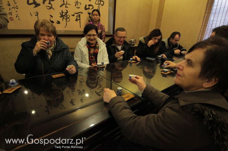 Gospodarz.pl w Chinach