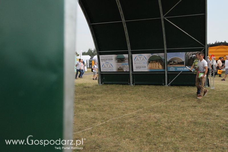 Skavska Hale na OPOLAGRA Kamień Śląski 2018