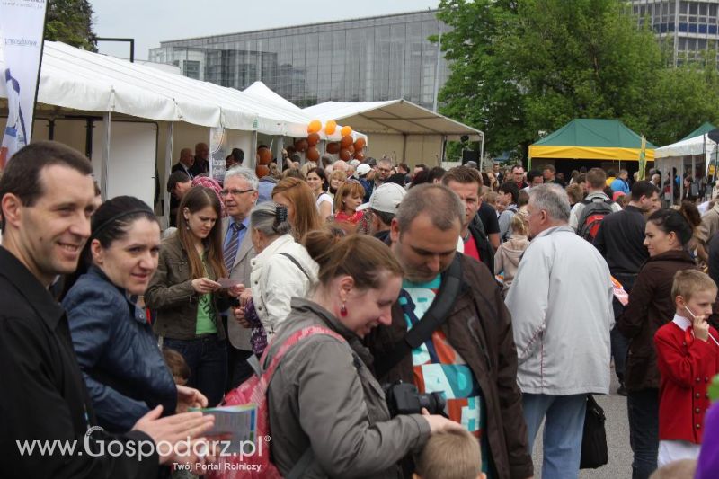 Mięsna Arena 2013 w Poznaniu