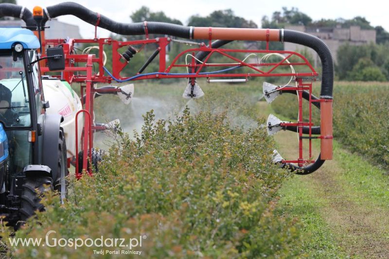 Pokazy Polowe z firmą Bogart