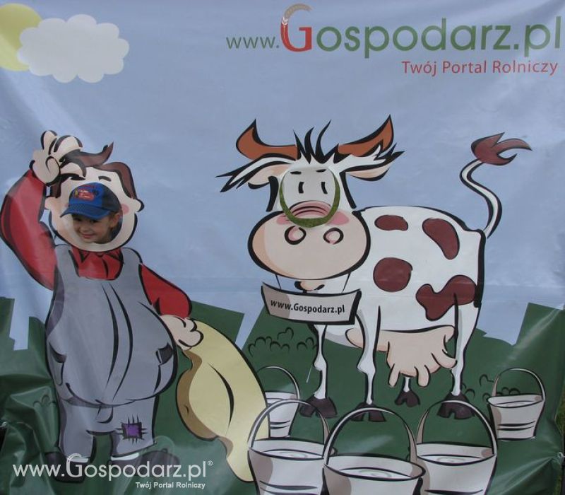 Wielkopolskie Targi Rolnicze „Sielinko 2011”  - Krówka Gospodarza
