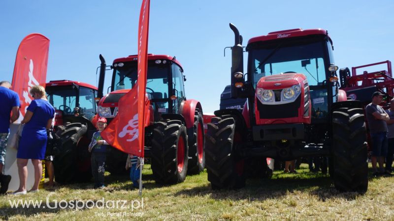 Zetor na ZIELONE AGRO SHOW w Ułężu 2017