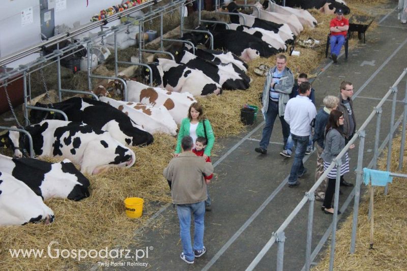XXVI Krajowa Wystawa Zwierząt Hodowlanych - sobota i niedziela