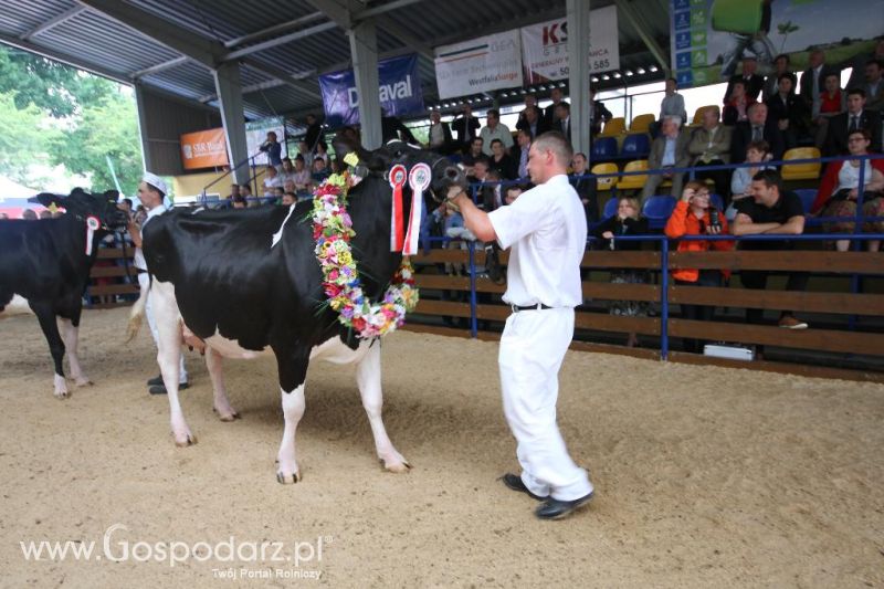 VIII Ogólnopolska Wystawa Bydła Hodowlanego, XXI Regionalna Wystawa Zwierząt Hodowlanych i Dni z Doradztwem Rolniczym w Szepietowie