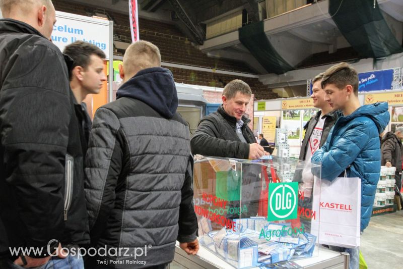 FERMA 2020 dzień 2