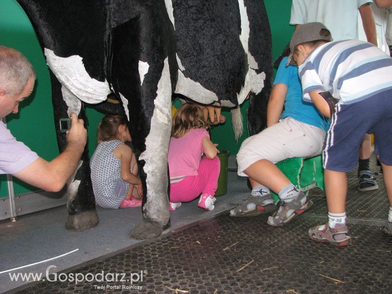 Bydło mleczne na XXV Krajowej Wystawie Zwierząt Hodowlanych