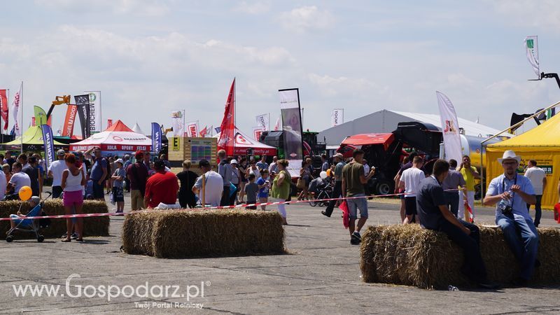 OPOLAGRA 2015 w Kamieniu Śląskim