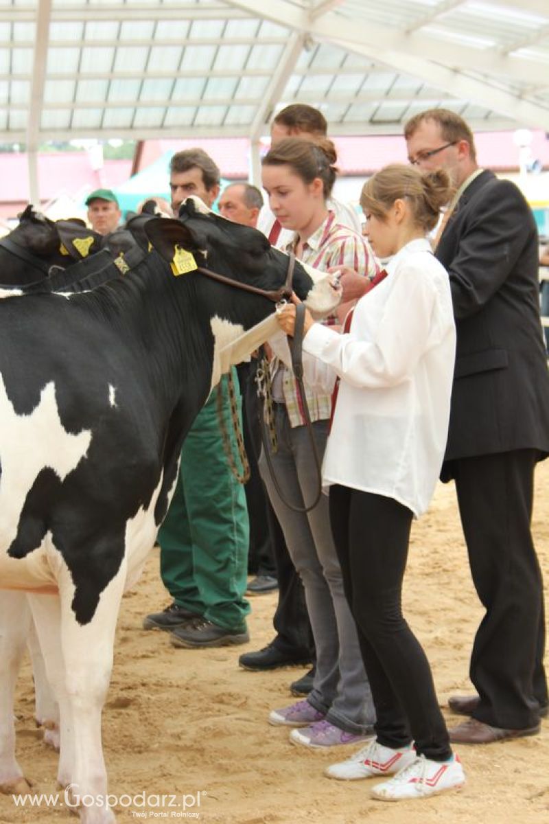 Wystawa bydła Sielinko 2011
