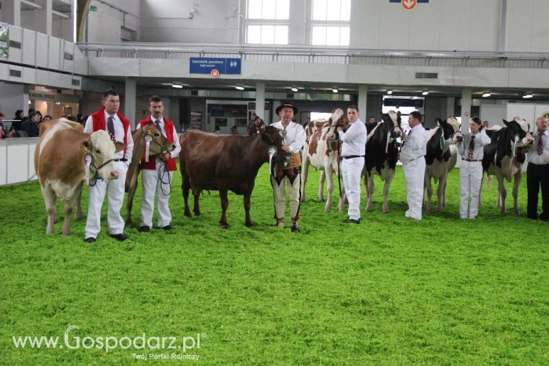 XXVI Krajowa Wystawa Zwierząt Hodowlanych - sobota i niedziela