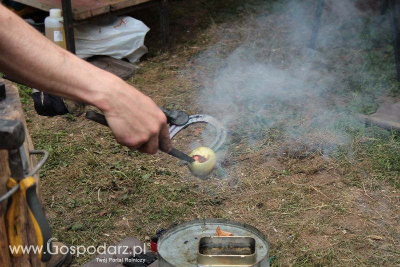  XX Targi Rolnicze Lubniewice