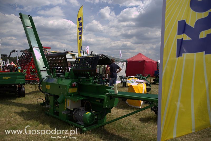 Kellfri na OPOLAGRZE 2016