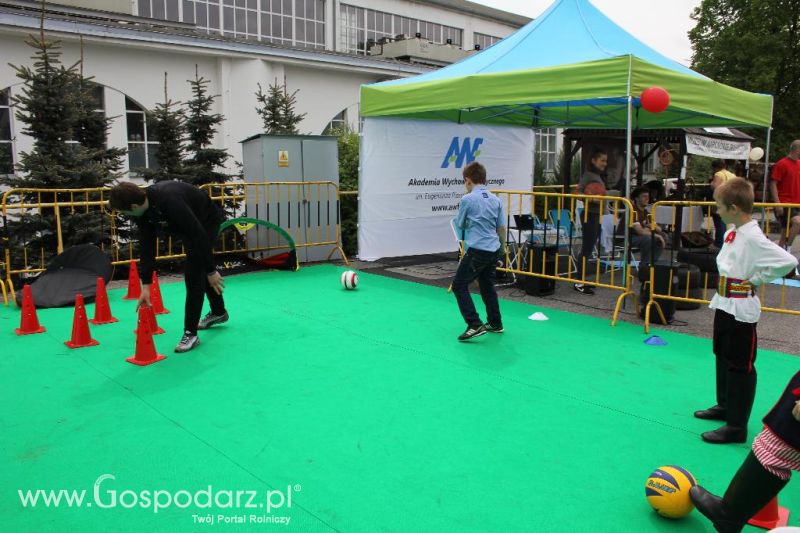 Mięsna Arena 2013 w Poznaniu