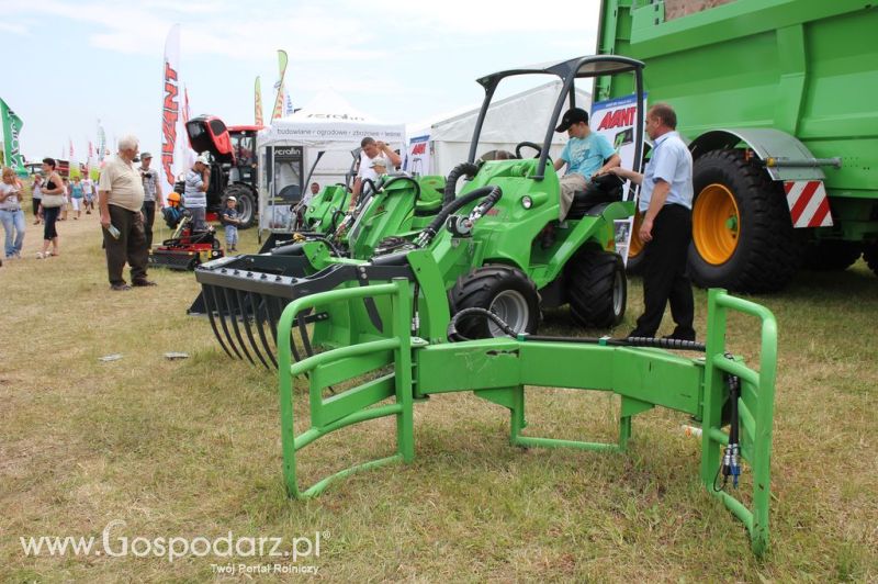 Serafin na Opolagra 2012