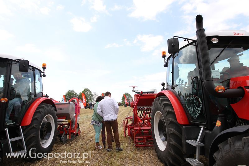 Majówka z Zetorem w Brzeziu