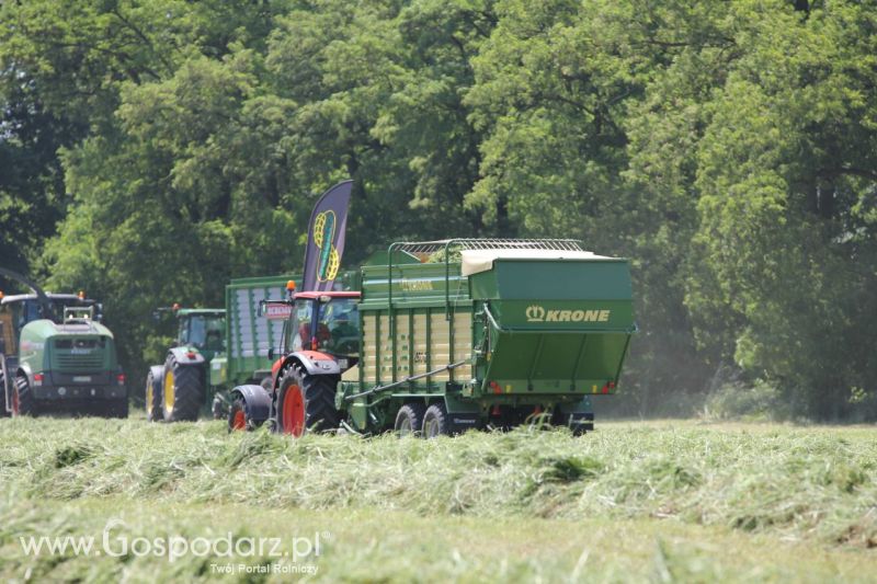 Zielone AGRO SHOW – POLSKIE ZBOŻA 2014 w Sielinku - sobota