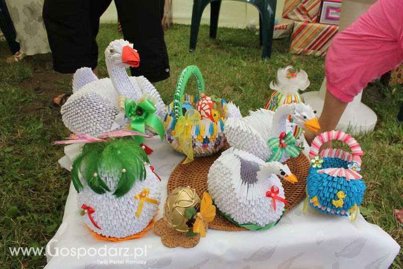 VIII Święto Gęsi - Konkurs kulinarny Najlepsza potrawa z Gęsi