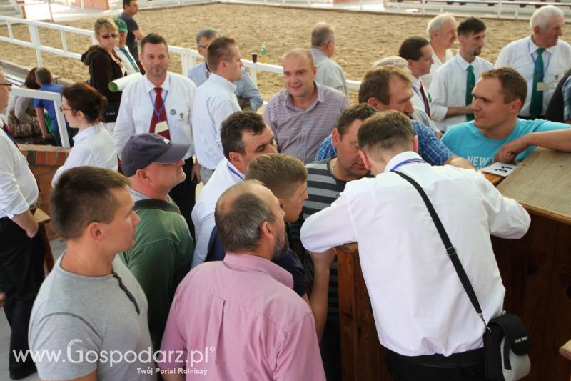 I Krajowa Wystawa Bydła Mięsnego w Sielinku - sobota