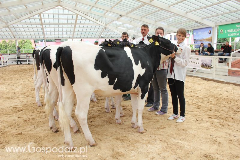 Wystawa bydła Sielinko 2011