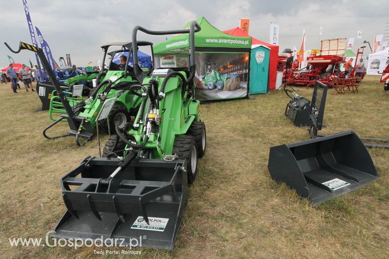 Avant-Serafin na OPOLAGRA Kamień Śląski 2018