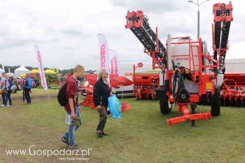 Maschio Gaspardo na AGRO-TECH Minikowo 2017