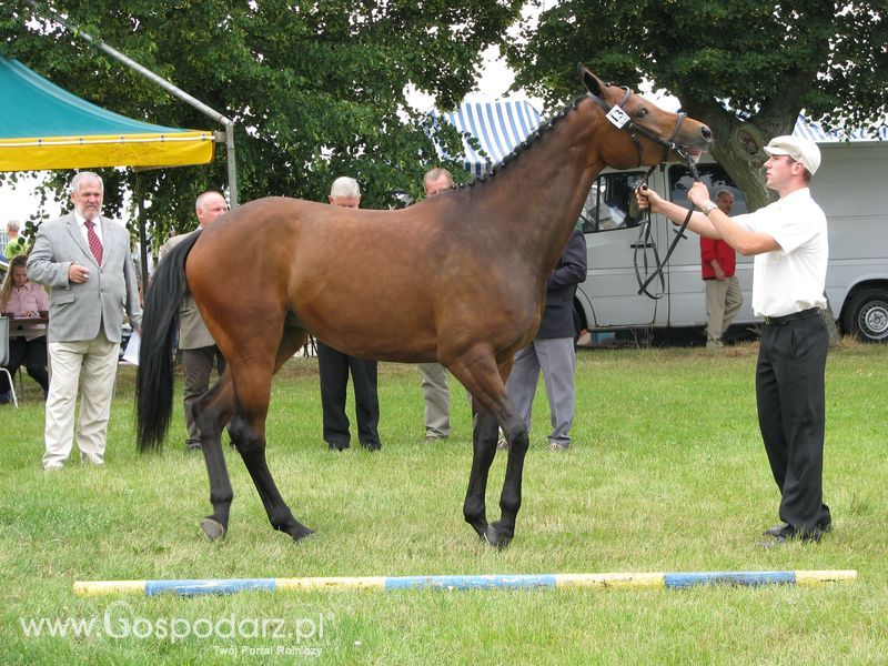 Wystawa Koni Sielinko 2011