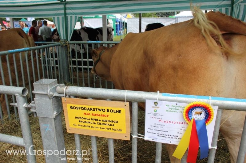 Relacja Foto Agro-Tech Minikowo 2012