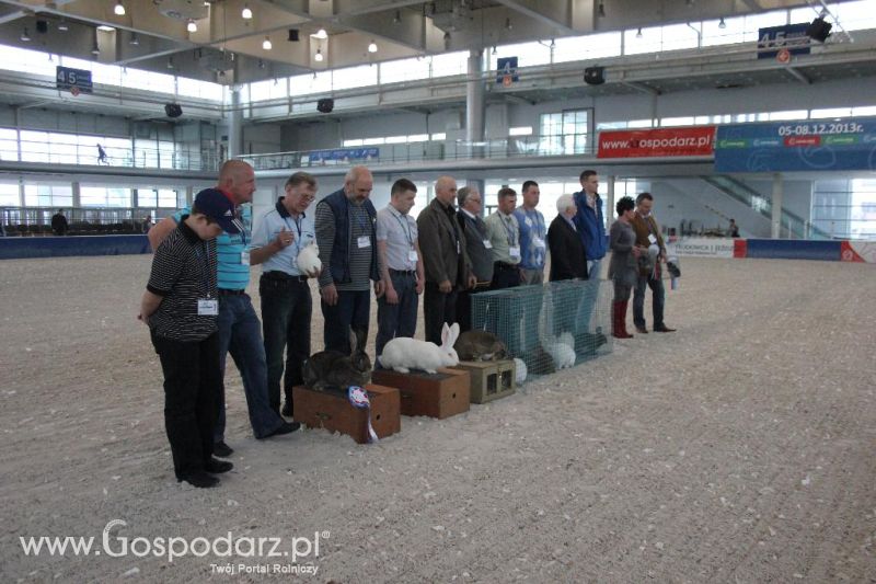 XXVI Krajowa Wystawa Zwierząt Hodowlanych - sobota i niedziela