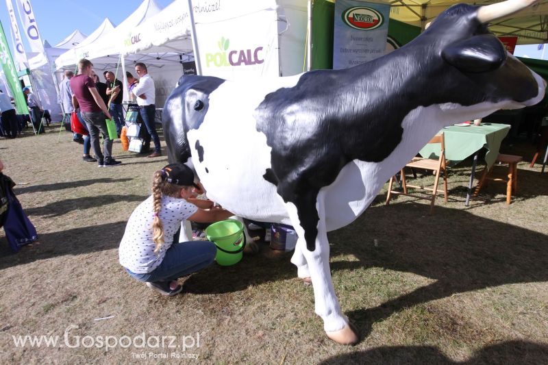 Agro Show 2019 dzień 4