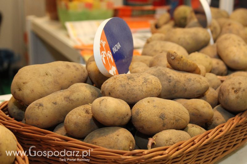 Fotorelacja z XVII Międzynarodowych Targów Techniki Rolniczej AGROTECH i XI Targów Przemysłu Drzewnego i Gospodarki Zasobami Leśnymi LAS-EXPO dzień 1