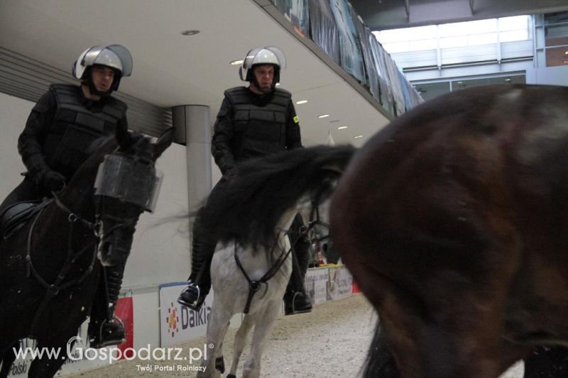 CAVALIADA 2013 w Poznaniu