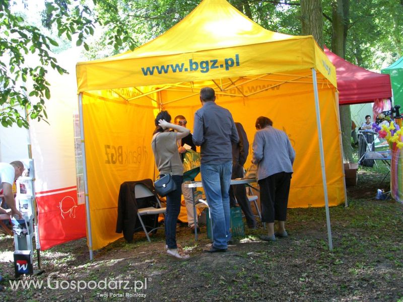 Festiwal Wieprzowiny Drzeczkowo 2012
