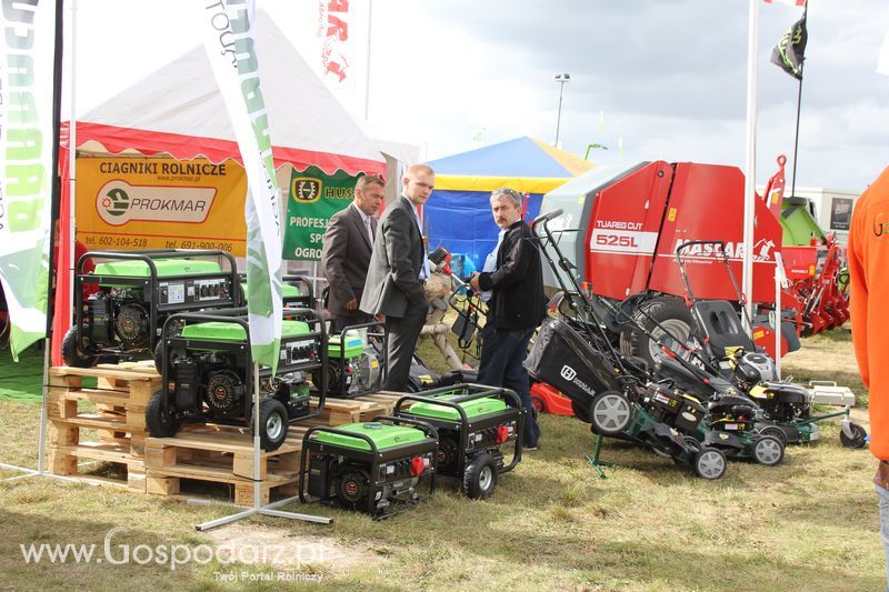 Husar na targach rolniczych Agroshow 2012 w Bednarach