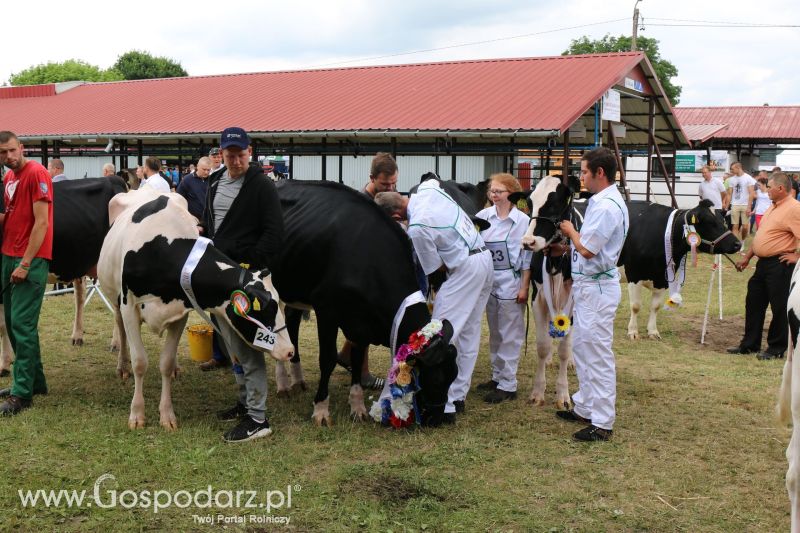 Regionalna Wystawa Zwierząt Hodowlanych i Dni z Doradztwem Rolniczym w Szepietowie 2017 (niedziela)