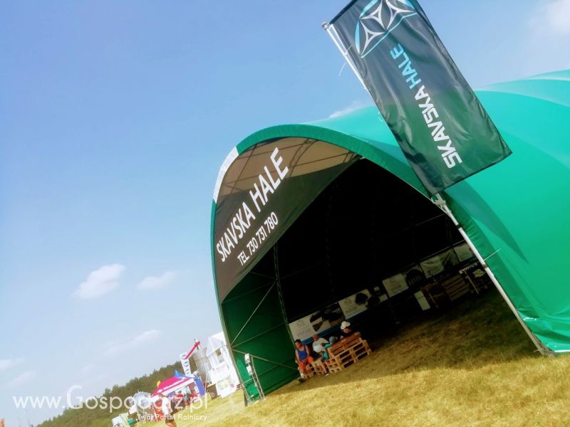 Opologra 2019