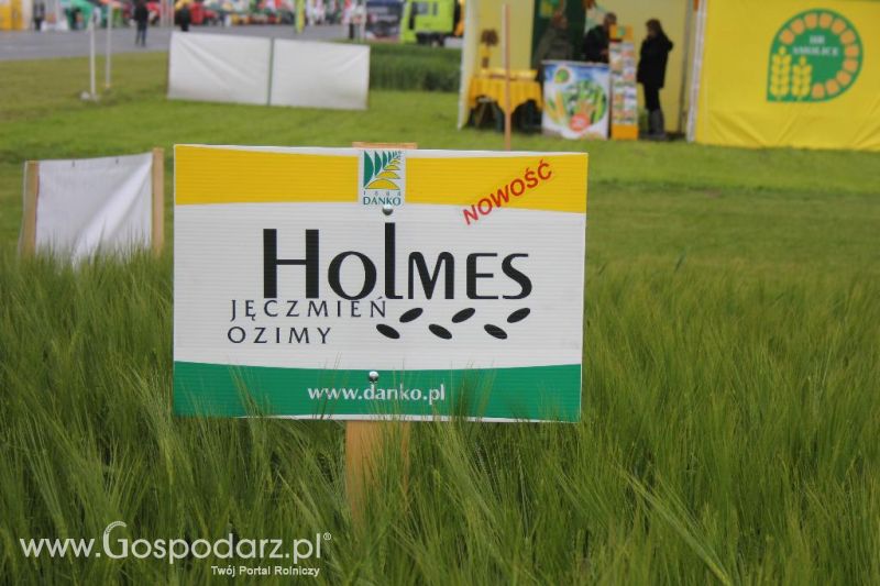 Polskie Zboża i Zielone Agro Show 2013