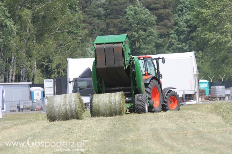 OPOLAGRA 2015 w Kamieniu Śląskim