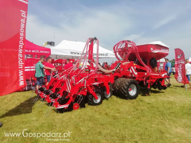Opologra 2019