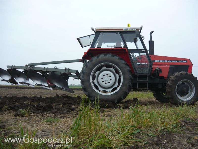 MrZgredy de luxa mają więc w polu sobie rade dają Orka Zimowa 2011