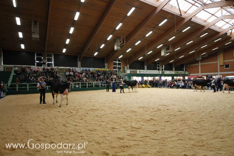Wystawa  Blickpunkt Rind 2013 w miejscowości Paaren/Glien (Niemcy)