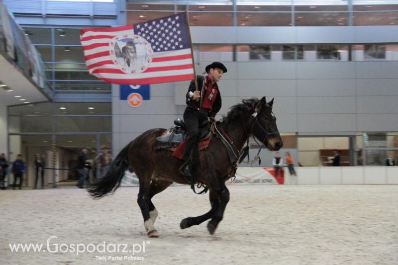 CAVALIADA 2013 w Poznaniu