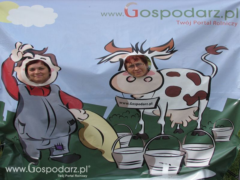Wielkopolskie Targi Rolnicze „Sielinko 2011”  - Krówka Gospodarza
