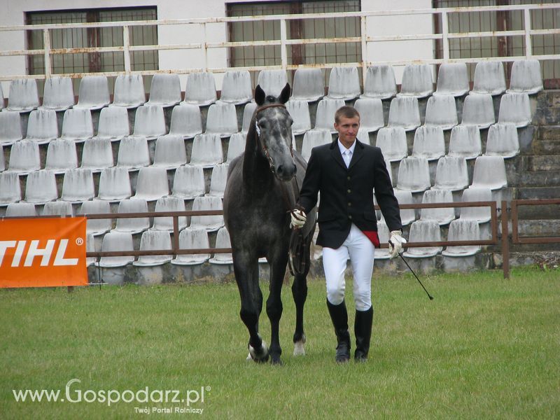 Wystawa Koni Sielinko 2011