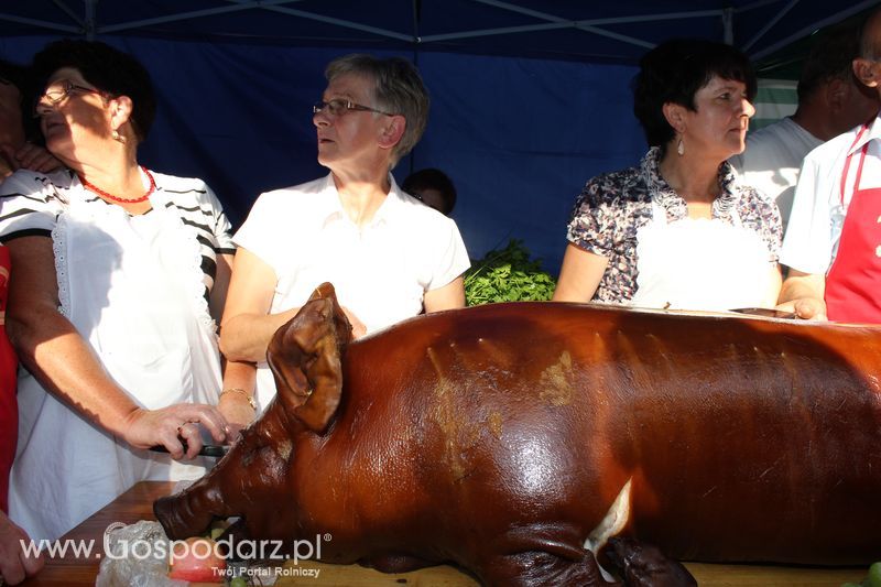 Ogólnopolski Festiwal Wieprzowiny w Łasinie