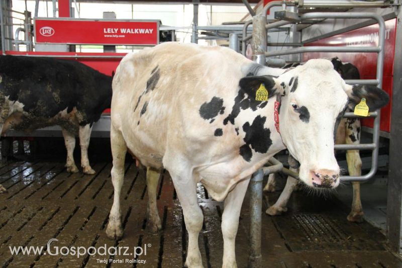 Dni Otwarte w GR Hendripol sp. z o.o.