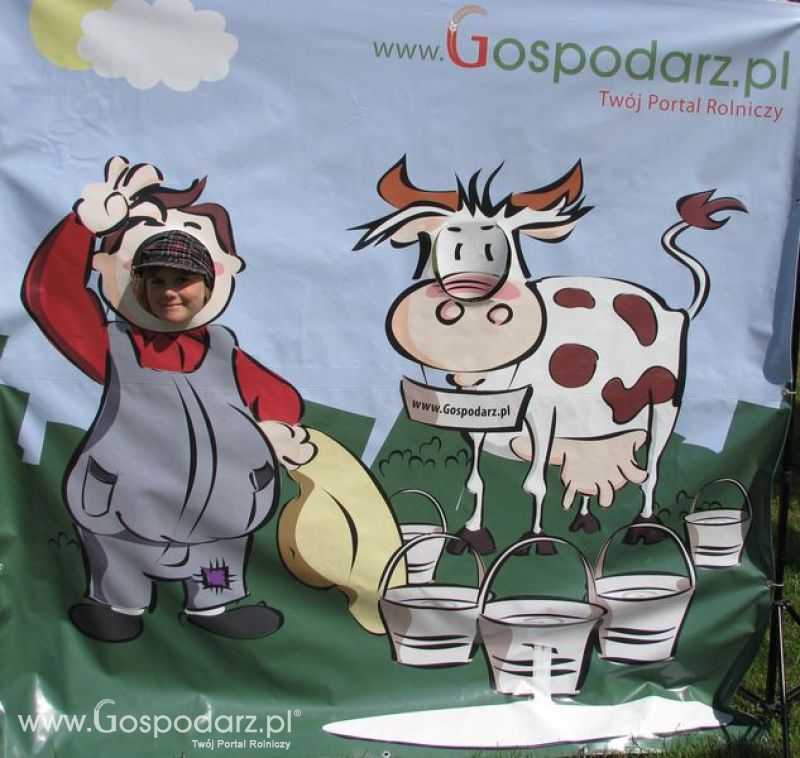 Wielkopolskie Targi Rolnicze „Sielinko 2011”  - Krówka Gospodarza
