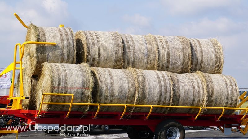 Pokazy polowe podczas targów OPOLAGRA 2015